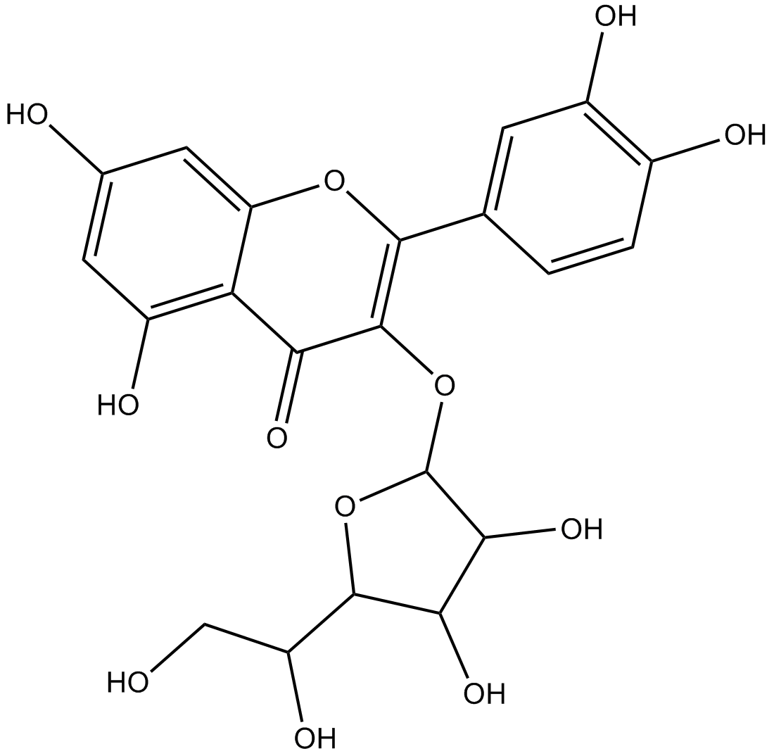 Isoquercitrin图片