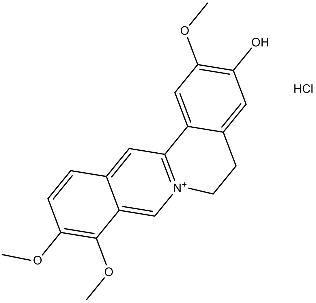 Jatrorrhizine Hydrochloride图片