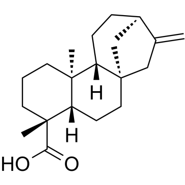 Kaurenoic acid图片