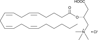 Arachidonoyl-L-carnitine(chloride)图片