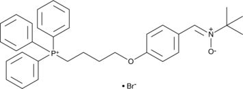 MitoPBN图片