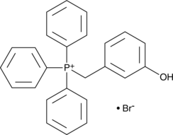 MitoP图片