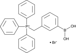 MitoB图片