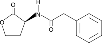 N-phenylacetyl-L-Homoserine lactone图片