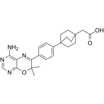 DGAT-1 inhibitor 2图片