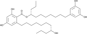 Integracin B图片