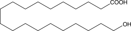 20-hydroxy Arachidic Acid图片