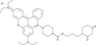 DCP-Rho1图片