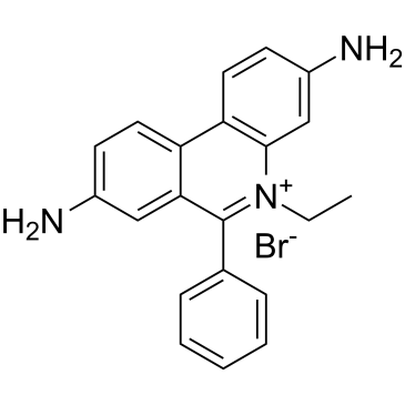 Ethidium bromide图片