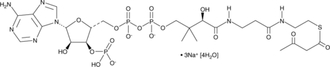 Acetoacetyl Coenzyme A(sodium salt hydrate)图片