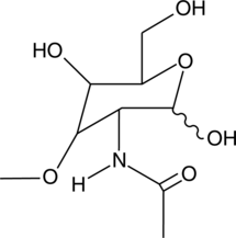 3-O-methyl-N-acetyl-D-Glucosamine图片