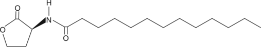 N-tridecanoyl-L-Homoserine lactone图片
