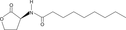 N-nonanoyl-L-Homoserine lactone图片