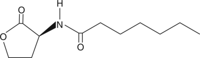 N-heptanoyl-L-Homoserine lactone图片