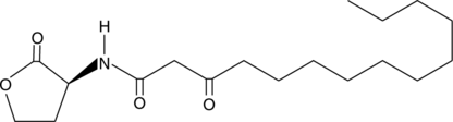 N-3-oxo-tetradecanoyl-L-Homoserine lactone图片