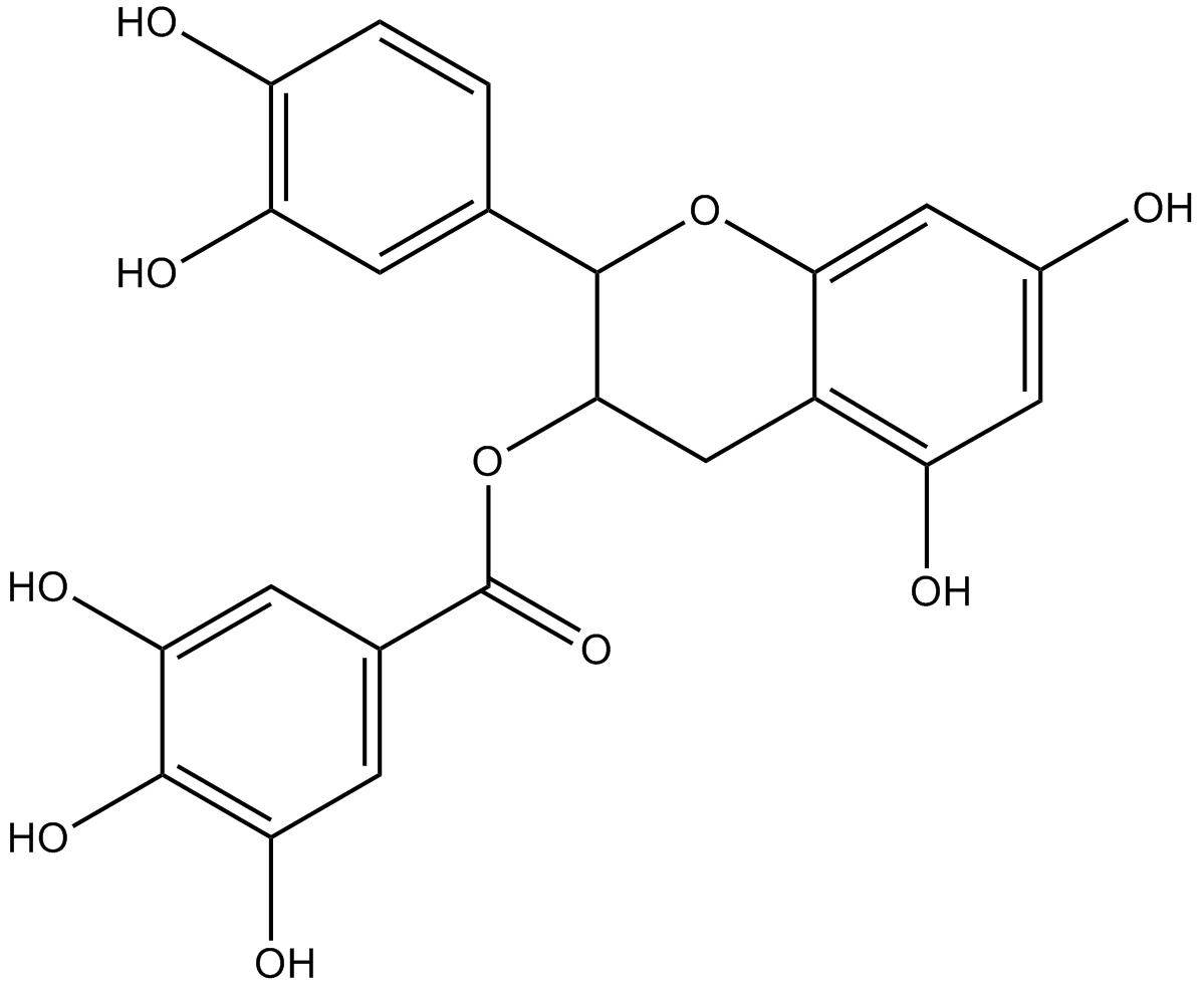 ECG图片