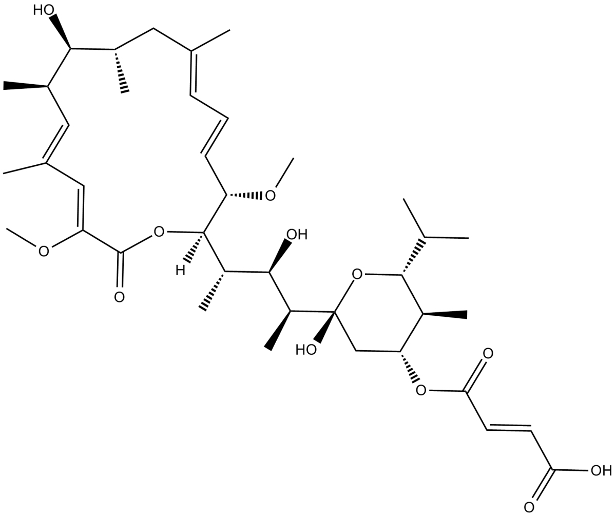 Bafilomycin C1图片