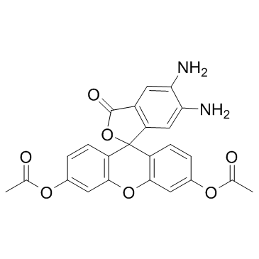 DAF 2DA(DAF-2DA)图片