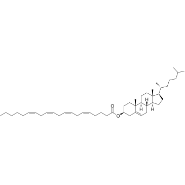Cholesteryl Arachidonate图片