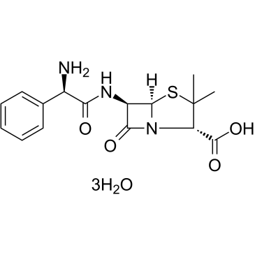 Ampicillin(trihydrate)图片
