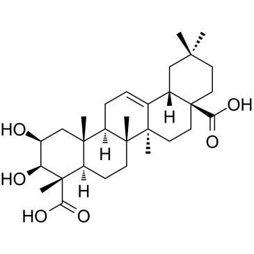 Medicagenic acid图片