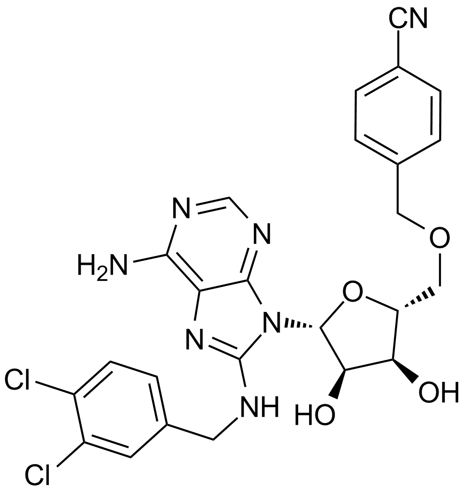 VER 155008图片