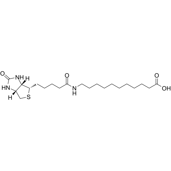 (+)-Biotin-SLC图片