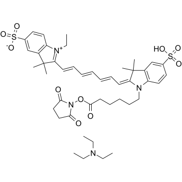 CY7-SE triethylamine图片