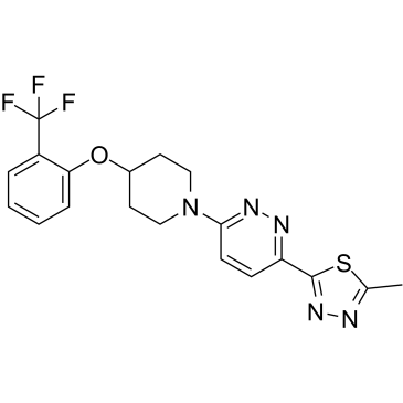MF-438图片