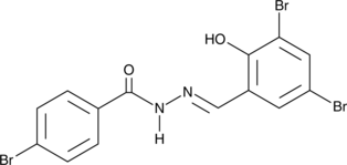 D13图片