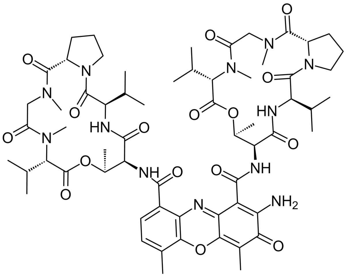 Actinomycin D图片