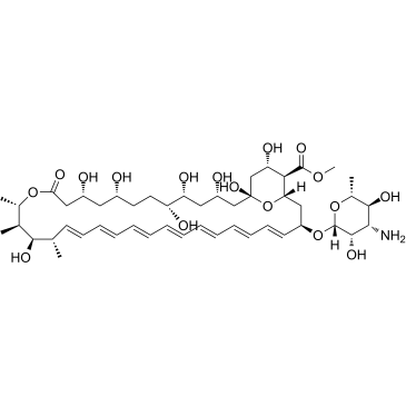 Amphotericin B methyl ester图片