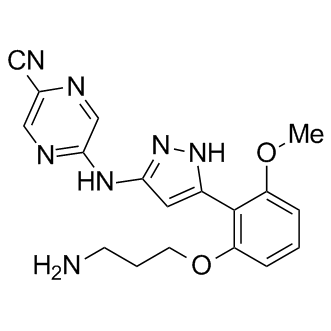 LY2606368图片
