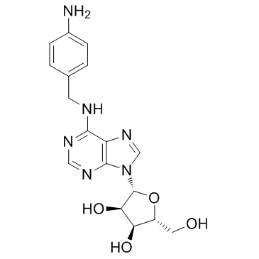 N-[(4-Aminophenyl)methyl]adenosine图片