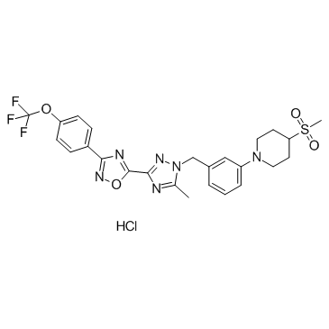 IACS-10759 Hydrochloride图片