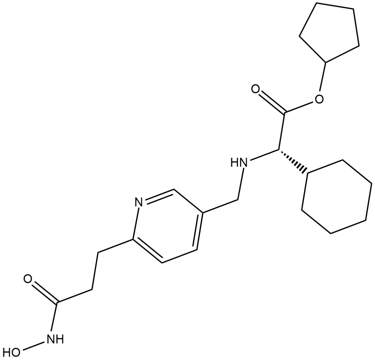 GSK3117391图片
