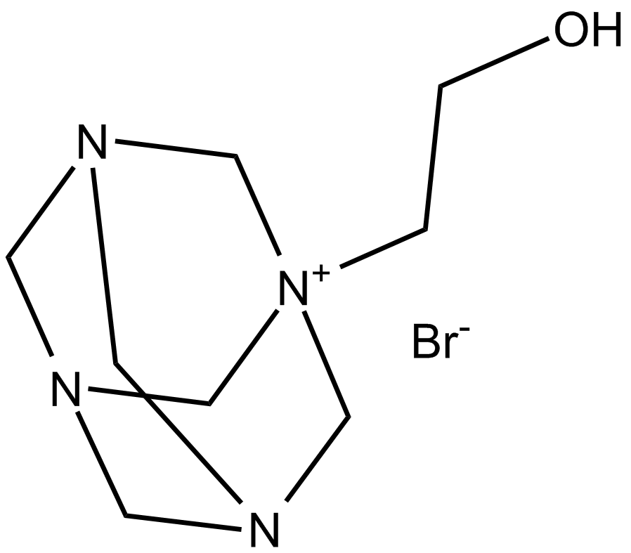 Y 11图片