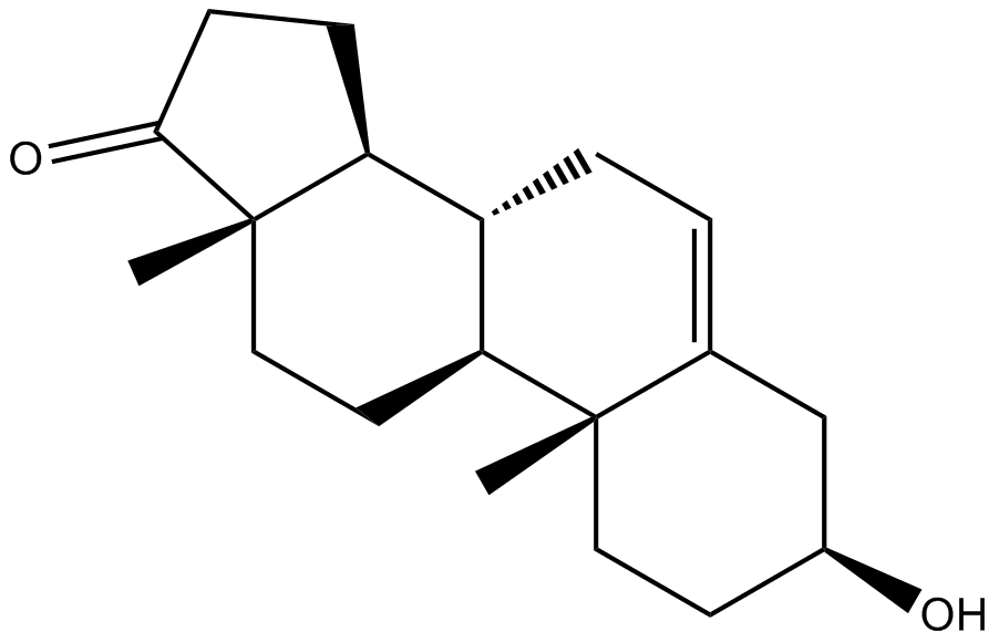 Dehydroepiandrosterone(DHEA)图片