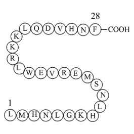 parathyroid hormone(7-34)[Homo sapiens]/[Macaca fascicularis]图片