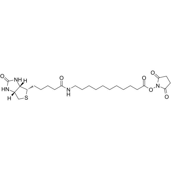 Biotin-C10-NHS Ester图片