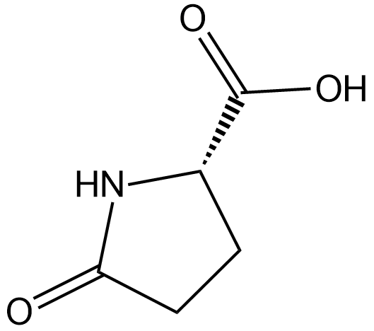 H-Pyr-OH图片