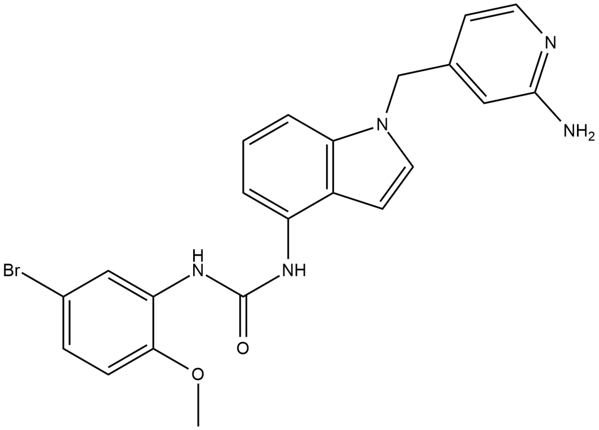 JI-101图片