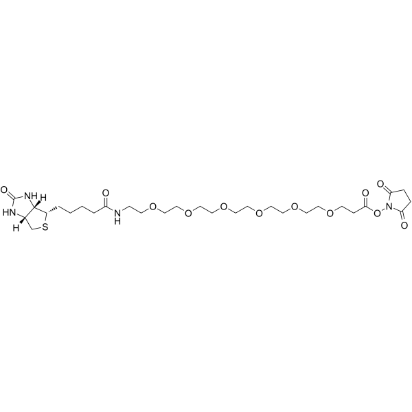 Biotin-PEG6-NHS ester图片