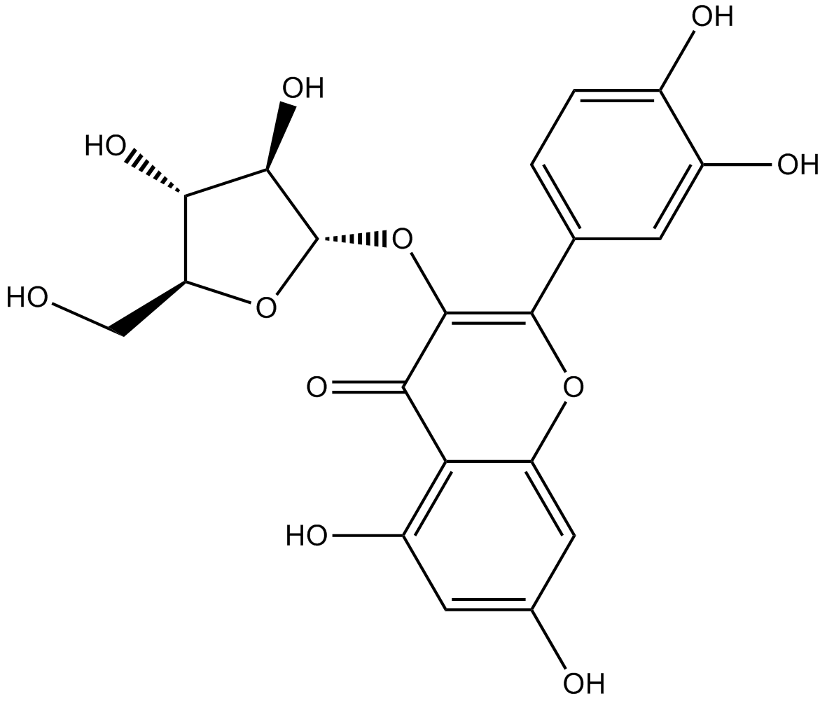 Avicularin图片