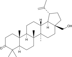 3-Oxobetulin图片