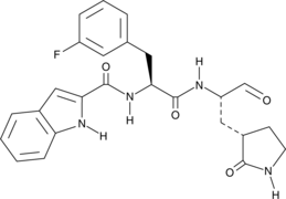 MPro Inhibitor 11b图片