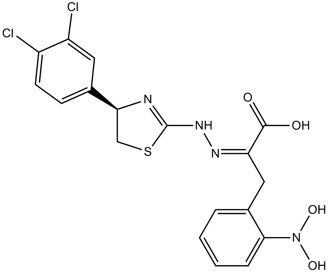 4EGI-1图片
