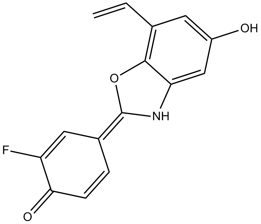 ERB 041图片