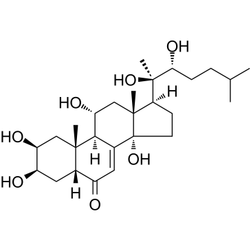 Ajugasterone C图片