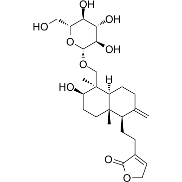 Andropanoside图片